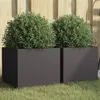 Image de Jardinières 2 pcs noir 32x30x29 cm acier