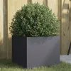 Image de Jardinière anthracite 32x30x29 cm acier