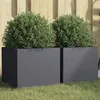 Image de vidaXL Jardinières 2 pcs, Bacs à Fleurs, Pots de Plantes, Boîtes à Fleurs, Jardinières Surélevées de Jardin Terrasse, 841540