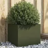 Image de vidaXL Jardinière, Bac à Fleurs, Pot de Plantes, Boîte à Fleurs, Jardinière Surélevée de Jardin Patio Terrasse, Vert Olive 841541