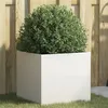 Image de vidaXL Jardinière, Bac à Fleurs, Pot de Plantes, Boîte à Fleurs, Jardinière Surélevée de Jardin Patio Terrasse, Blanc 841549