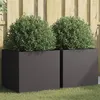 Image de Jardinières 2 pcs noir 49x47x46 cm acier