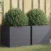 Image de Jardinières 2 pcs anthracite 49x47x46 cm acier