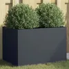 Image de vidaXL Jardinière, Bac à Fleurs, Pot de Plantes, Boîte à Fleurs, Jardinière Surélevée de Jardin Patio Terrasse, Anthracite 841597