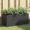 Image de Jardinières avec 2 pots 2 pcs noir 72x30x32 cm résine tressée