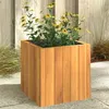 Image de vidaXL Jardinière 25x25x25 cm bois massif d'acacia366500