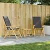 Image de vidaXL Lot de 2 Chaises Inclinables de Jardin Pliantes avec Coussins, Sièges avec Accoudoirs, Fauteuils avec Dossier de 365876