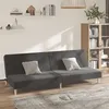 Image de vidaXL Canapé-lit à 2 places gris foncé tissu