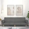 Image de vidaXL Canapé-lit à 2 places avec deux oreillers gris clair tissu