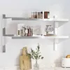 Image de vidaXL Wandschap 2-laags 100x40x60 cm roestvrijstaal zilverkleurig30309