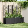 Image de Jardinière avec treillis noir 160x40x140 cm PP