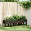 Image de Jardinière avec pieds marron 160x40x42 cm PP