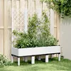 Image de vidaXL Jardinière avec Treillis, Lit Surélevé, Bac à Fleurs, Pot de Plantes, Boîte à Fleurs Jardin Patio Terrasse Extérieur, 367929
