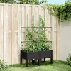 Image de vidaXL Jardinière avec Treillis, Lit Surélevé, Bac à Fleurs, Pot de Plantes, Boîte à Fleurs Jardin Patio Terrasse Extérieur, 367953