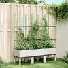 Image de vidaXL Jardinière avec Treillis, Lit Surélevé, Bac à Fleurs, Pot de Plantes, Boîte à Fleurs Jardin Patio Terrasse Extérieur, 367959
