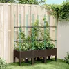 Image de vidaXL Jardinière avec Treillis, Lit Surélevé, Bac à Fleurs, Pot de Plantes, Boîte à Fleurs Jardin Patio Terrasse Extérieur, 367960