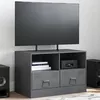 Image de vidaXL Meuble TV anthracite 67x39x44 cm acier 841743