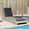 Image de vidaXL Chaise Longue avec Coussins, Lit de Repos avec Dossier Réglable, Bain de Soleil, Meuble de Jardin Extérieur, Moderne, 368283