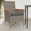 Image de vidaXL Lot de 2 Chaises de Jardin avec Coussins, Sièges avec Accoudoirs, Fauteuils avec Dossier, Meubles de Terrasse, 368120