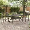 Image de vidaXL 5-delige Tuinset geitaluminium bronskleurig3216308