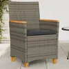 Image de vidaXL Lot de 2 Chaises de Jardin avec Coussins, Sièges avec Accoudoirs, Fauteuils de Terrasse Patio, Moderne, Gris Résine 368721