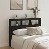 Image de Armoire tête de lit avec LED noir 140x17x102 cm