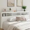 Image de Armoire tête de lit avec LED blanc 220x17x102 cm