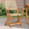 Image de vidaXL Chaises de jardin lot de 2 beige bois massif d'acacia et rotin, siège de jardin, siège d'extérieur, chaise pliable, 367665
