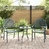 Image de vidaXL Lot de 2 Chaises de Jardin, Sièges de Terrasse, Chaises de Balcon, Meubles de Patio Jardinage Extérieur, Vert 4002801