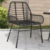 Image de vidaXL Chaises de jardin 2 pcs Noir Résine tressée, siège de jardin, siège d'extérieur, chaise d'extérieur, siège de jardin, 369091