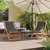 Image de vidaXL Lot de 2 Chaises de Plage Pliables, Sièges de Terrasse, Chaises de Balcon, Meubles de Patio Camping Jardin Extérieur, 3214493