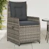 Image de vidaXL Chaises inclinables de jardin lot de 2 gris résine tressée, fauteuil de jardin inclinable, fauteuil inclinable de 368654