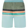 Image de Protest, Hommes, Short, Herren PRTAvik Strandshorts grün, Vert, (S)