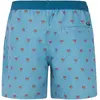Image de Protest, Hommes, Short, Herren PRTParco Strandshorts blau, Bleu, (S)