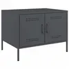 Image de vidaXL Table Basse, Table d'Appoint avec Pieds, Bout de Canapé avec Porte, Meuble de Rangement Salle de Séjour, Anthracite 843032