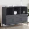 Image de vidaXL Buffet, Armoire avec Pieds et Compartiments, Placard avec Porte, Meuble de Rangement Salon Intérieur, Anthracite 843092
