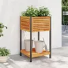 Image de vidaXL Jardinière et étagère 45x45x80 cm bois massif d'acacia et acier, jardinière d'extérieur, bac à fleurs, bac à pommes 367616