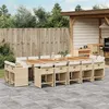 Image de vidaXL 15-delige Tuinset met kussens poly rattan beige3278007