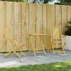 Image de vidaXL Ensemble de bistro 3 pcs bambou, ensemble de bistro de jardin, ensemble de balcon, ensemble de meubles d'extérieur 3278526