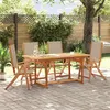 Image de vidaXL 5-delige Tuinset massief acaciahout en textileen3279324