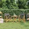 Image de vidaXL Chaises de metteur en scène pliantes lot de 2 Bois teck massif 4008513