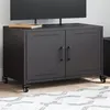 Image de vidaXL Meuble TV, Armoire de Télévision avec Portes, Support Télé avec Rangement Salon Salle de Séjour Intérieur, Noir 846638