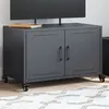 Image de vidaXL Meuble TV, Armoire de Télévision avec Portes, Support Télé avec Rangement Salon Salle de Séjour, Anthracite 846640