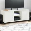 Image de vidaXL Meuble TV, Armoire de Télévision avec Étagères, Support Télé avec Rangement Salon Salle de Séjour, Blanc 846667