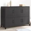 Image de vidaXL Buffet, Armoire avec Porte, Placard avec Rangement, Organisateur de Salle de Séjour Salon Maison Intérieur, Noir 846740