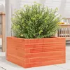 Image de Jardinière cire marron 40x40x23 cm bois de pin massif