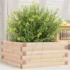 Image de vidaXL Jardinière 50x50x23 cm bois de pin massif847183