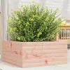 Image de Jardinière 50x50x23 cm bois massif douglas