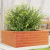 Image de Jardinière cire marron 60x60x23 cm bois de pin massif