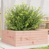 Image de Jardinière 60x60x23 cm bois massif douglas